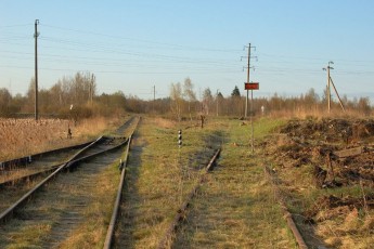 Волинянина, який розбирав колію на металолом, упіймали «на гарячому»