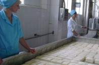 Депутати Волиньради дозволять збанкрутілому «Рожищенському сирзаводу» шукати прісну воду під землею?