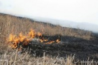 Майже 20 волинян оштрафували за те, що ті завдавали шкоду довкіллю
