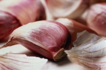 Волинським часником нагодують пів-України і частину Африки