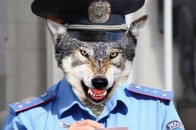 На Волині зловили 