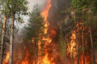Майже 10 тисяч гривень штрафів - за підпалювання сміття та сухої рослинності на Волині