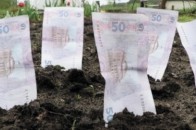 На Волині найменшу плату за оренду землі платять у Ратнівському районі