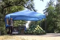 Жорстоке вбивство під Києвом: вночі зарізали продавця кавунів