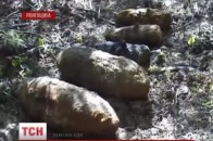 На Рівненщині замість грибів у лісі люди знайшли авіабомби