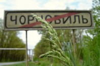 Де безплатно лікуватимуть «чорнобильців» Волині
