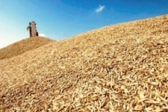 В Агрофонді України кажуть, що волинські аграрії «пасуть задніх» у поставках зерна