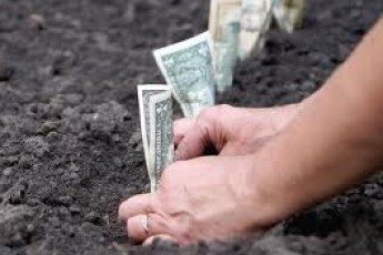 На Волині рибгосп заборгував сільраді понад 200 тисяч гривень за оренду землі