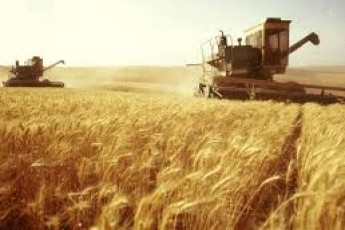 Волинські аграрії найпершими почали експортувати зерно в Європу