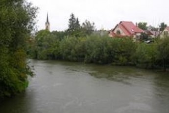 Будинок пенсіонерки з Волині може опинитися у Стиру