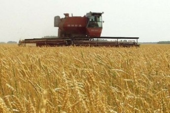 На Волині покарають керівників підприємств, які порушували безпеку під час жнив