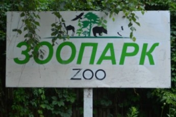 Учасники тендеру на реконструкцію Луцького зоопарку скаржаться в прокуратуру та СБУ