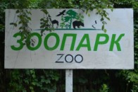 Учасники тендеру на реконструкцію Луцького зоопарку скаржаться в прокуратуру та СБУ