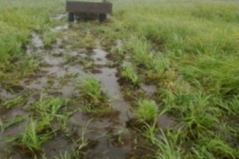 Чоловік намагався незаконно перевезти на Волинь обладнання для збирання картоплі