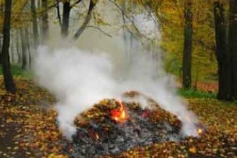 Луцький міський голова заборонив спалювати листя у місті