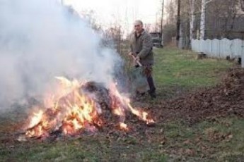 Луцькі екологи вже оштрафували 53 особи за спалювання опалого листя