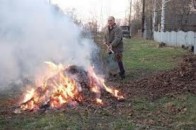 Луцькі екологи вже оштрафували 53 особи за спалювання опалого листя