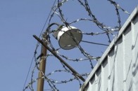 На Волині закликають допомогти малолітнім в'язням