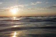 На моніторинг рівня води у Світязі виділили майже 100 тисяч гривень