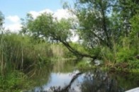 Майже мільйон євро дали на будівництво нового шлюзу на Волині