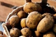 На Волині подорожчає картопля