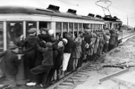 Через декілька років лучани перестануть їздити тролейбусами?