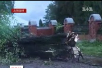 На Львівщині не можуть оговтатися від буревію