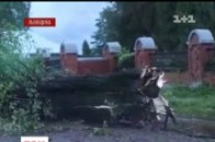 На Львівщині не можуть оговтатися від буревію