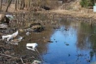 Сапалаївку за державні кошти прибирають саме в тій частині, де будується бізнесмен?