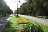 У Луцьку нагородили людей, які прибирали Сапалаївку