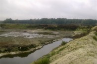 На Волині нечистоти з птахофабрики можуть спричинити масову загибель риби