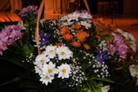 У Луцьку з професійним святом привітали освітян