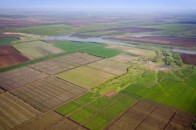 ЗМІ: Китай орендуватиме 3 мільйони гектарів землі в Україні