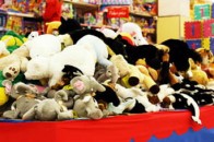 В одному з волинських міст обмежили продаж китайських іграшок