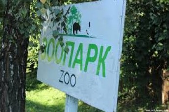 Як вибирали фірму, що освоїть мільйони Євросоюзу на будівництві зоопарку у Луцьку