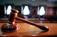 У Луцьку засудили грабіжників, які обкрадали лісові господарства