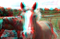 У Шацькому районі незаконно транслювали 3D-фільми