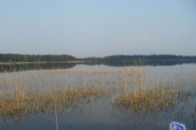 На Волині регулюватимуть рівень води в озерах