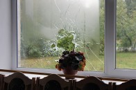 На Волині п'яний молодик стріляв із рушниці по вікнах сільради