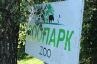 Коли почнуть ремонтувати луцький зоопарк