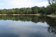 На Волині хотіли незаконно орендувати озеро на території заказника