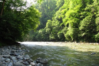 Лучанку, яка впала у річку, знайшли мертвою