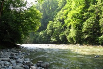 Подробиці трагічної загибелі луцької школярки у Карпатах