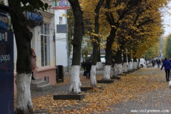 Лучани можуть травмуватися через мокре неприбране листя
