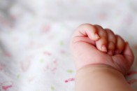 На Запоріжжі грибники знайшли у лісі труп немовляти