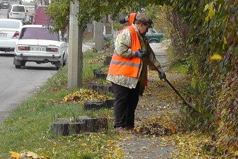 Через брак двірників у Луцьку не встигають прибирати опале листя