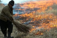Волиняни не палять траву, бо бояться штрафів?