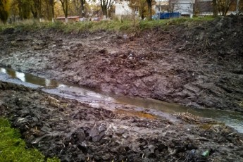У Луцьку почистили Сапалаївку в парку 900-річчя Луцька