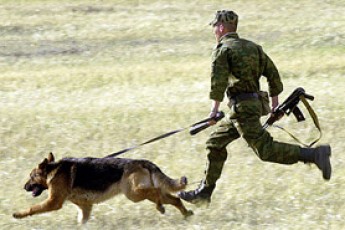 Як волинські контрабандисти цигарок «відмазуються» від прикордонників