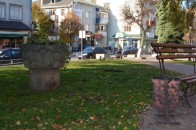 У Луцьку взялися озеленювати сквери